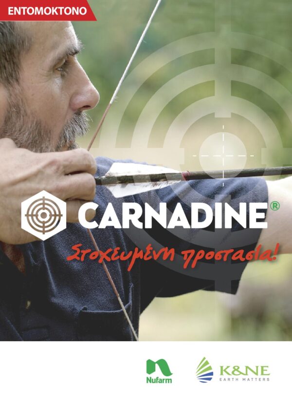 CARNADINE 20SL 300CC - Image 2