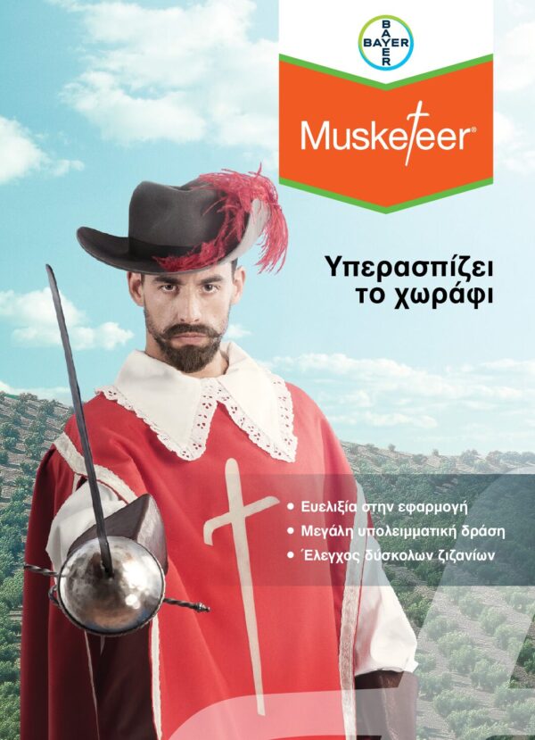 Musketeer 1Lt - Image 2
