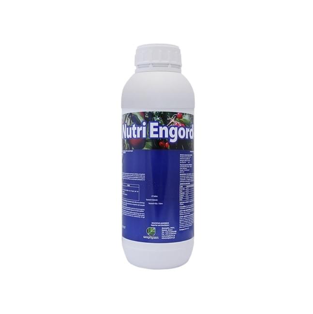 NUTRI ENGORDE 1Lt